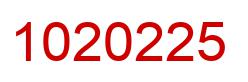 Number 1020225 red image