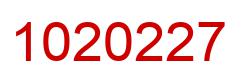 Number 1020227 red image