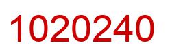 Number 1020240 red image