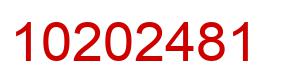 Number 10202481 red image