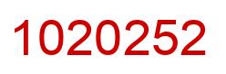 Number 1020252 red image