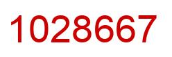 Number 1028667 red image