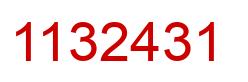 Number 1132431 red image