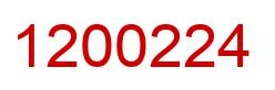 Number 1200224 red image