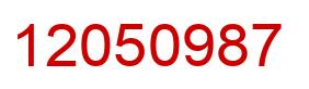 Number 12050987 red image