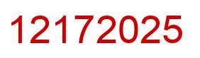 Number 12172025 red image