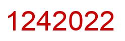Number 1242022 red image