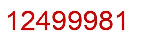 Number 12499981 red image