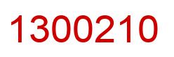 Number 1300210 red image