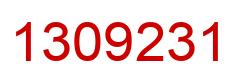 Number 1309231 red image
