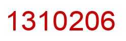 Number 1310206 red image