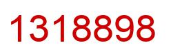 Number 1318898 red image