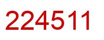 Number 224511 red image