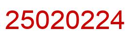 Number 25020224 red image