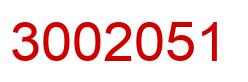 Number 3002051 red image
