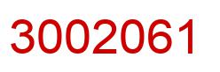 Number 3002061 red image