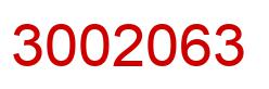 Number 3002063 red image