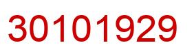 Number 30101929 red image