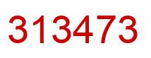 Number 313473 red image