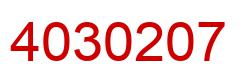 Number 4030207 red image