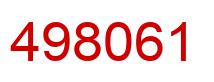 Number 498061 red image
