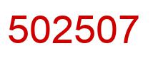 Number 502507 red image