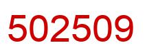 Number 502509 red image