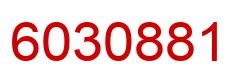 Number 6030881 red image