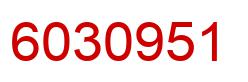 Number 6030951 red image