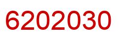 Number 6202030 red image