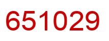 Number 651029 red image