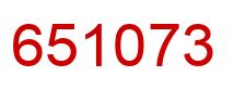 Number 651073 red image