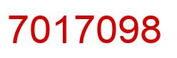 Number 7017098 red image