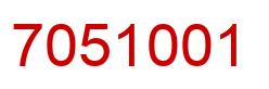Number 7051001 red image