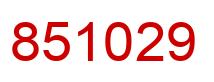 Number 851029 red image