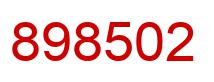 Number 898502 red image