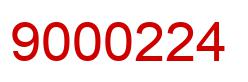 Number 9000224 red image