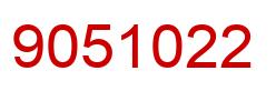 Number 9051022 red image