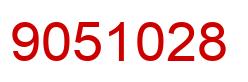 Number 9051028 red image