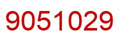Number 9051029 red image
