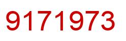Number 9171973 red image