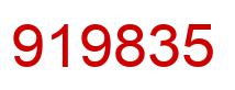 Number 919835 red image