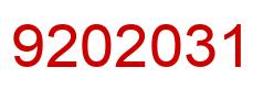 Number 9202031 red image