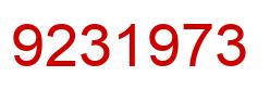 Number 9231973 red image