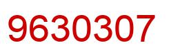 Number 9630307 red image