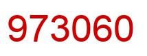 Number 973060 red image
