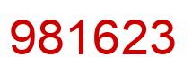 Number 981623 red image