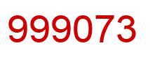 Number 999073 red image