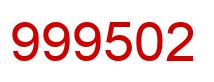 Number 999502 red image