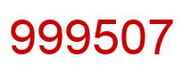 Number 999507 red image